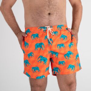 Short Elastic - Estampado